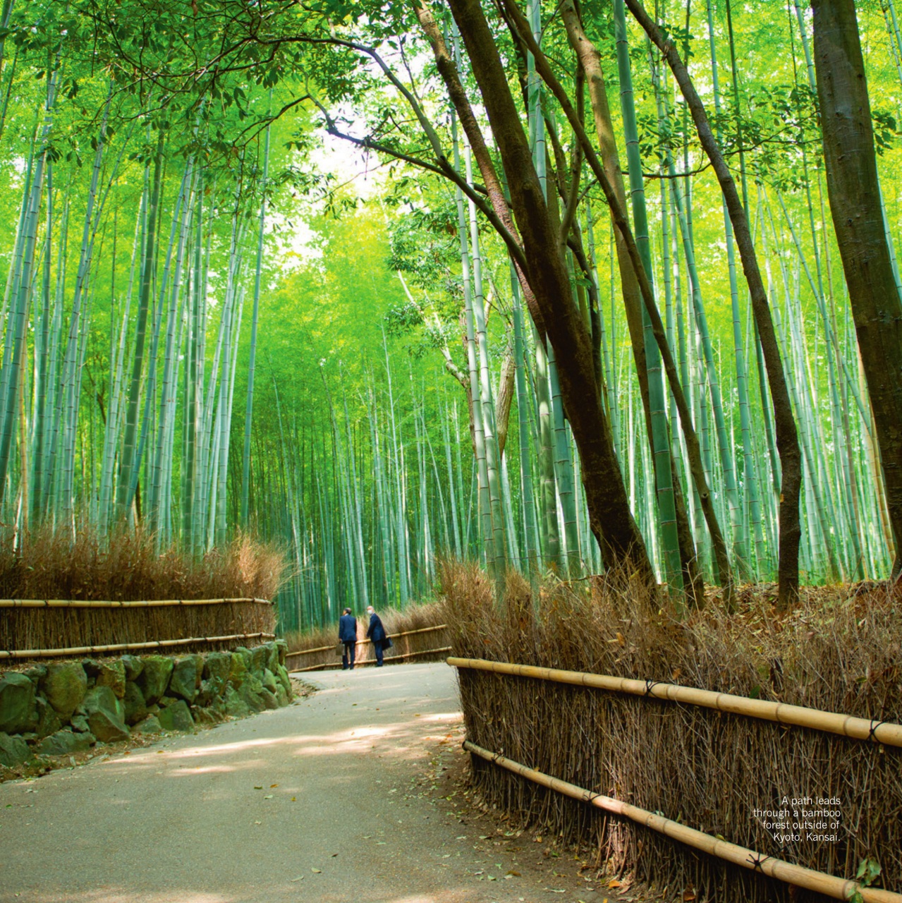 Luxury Travel Preview Pages