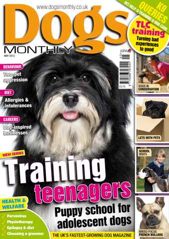 Dogs Monthly issue Dogs Monthly May 2013
