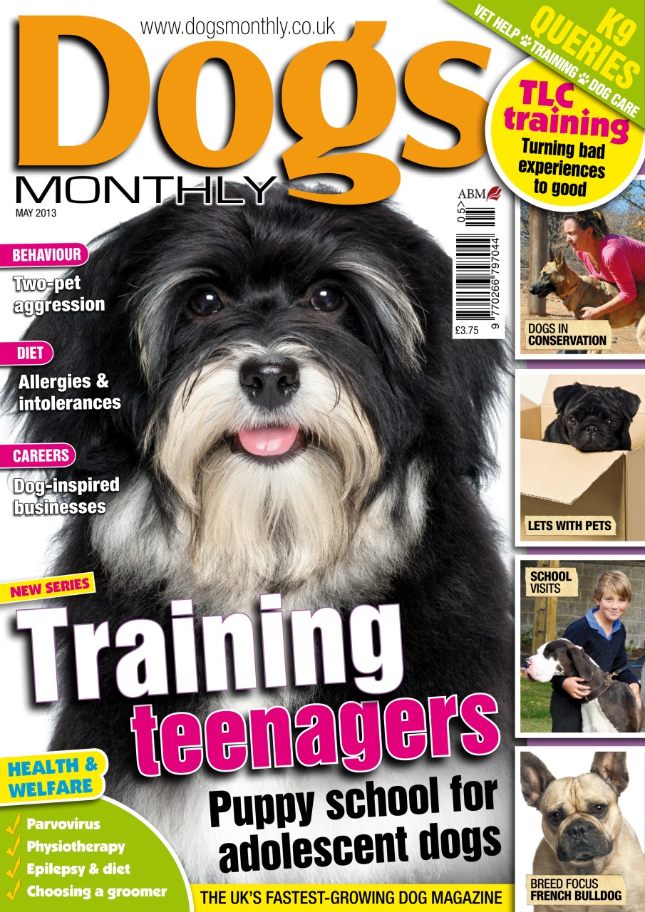 Dogs Monthly Preview Pages