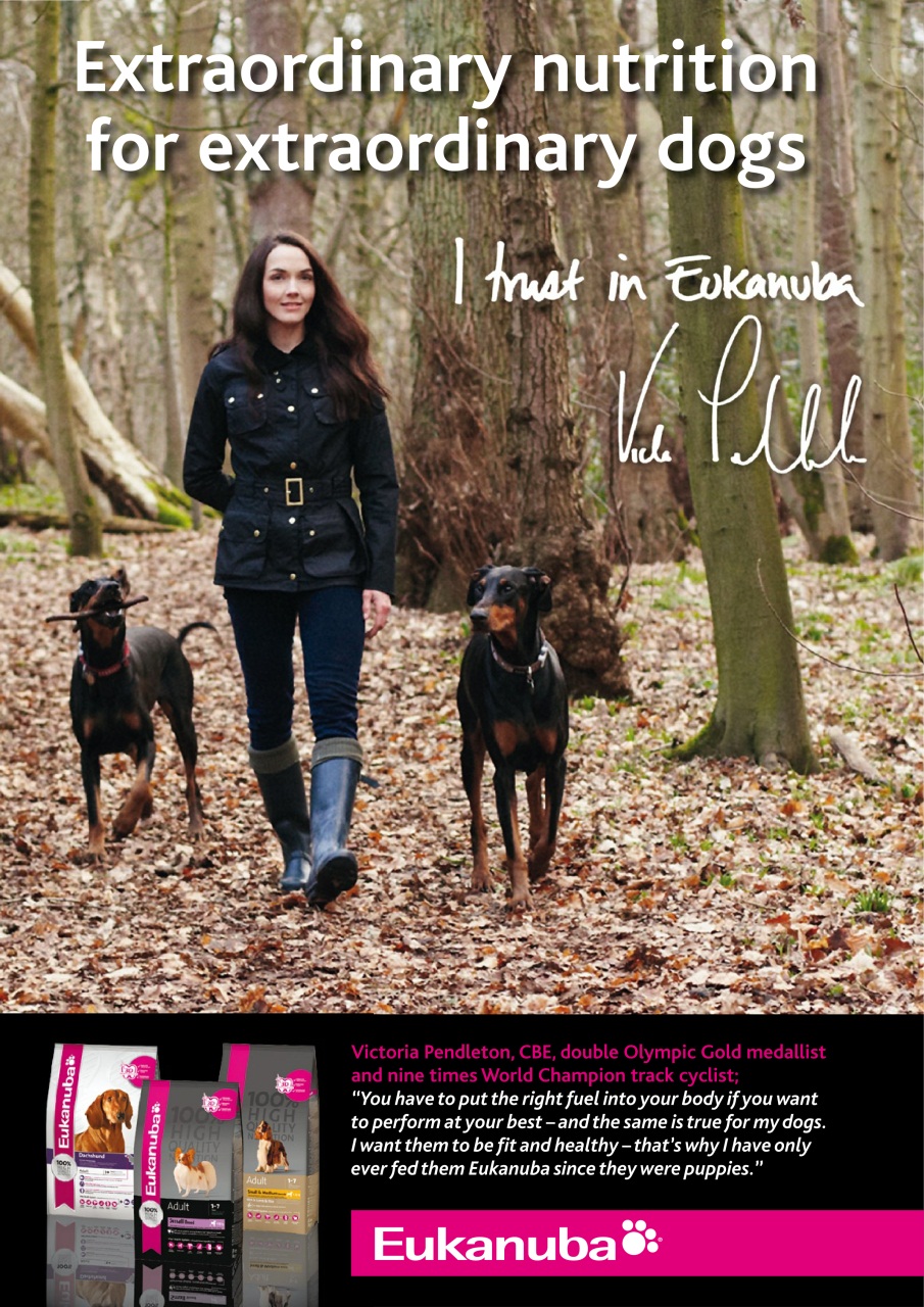 Dogs Monthly Preview Pages