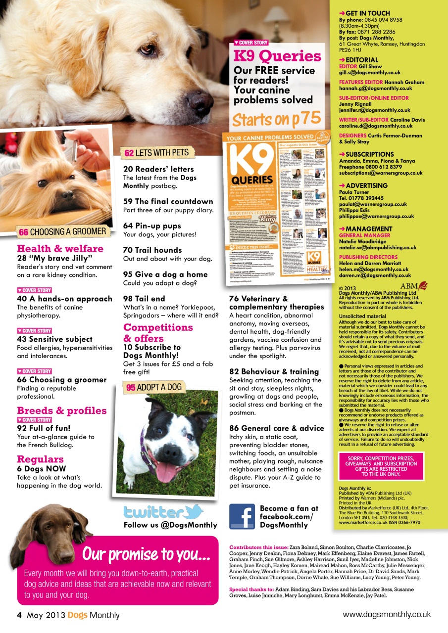 Dogs Monthly Preview Pages