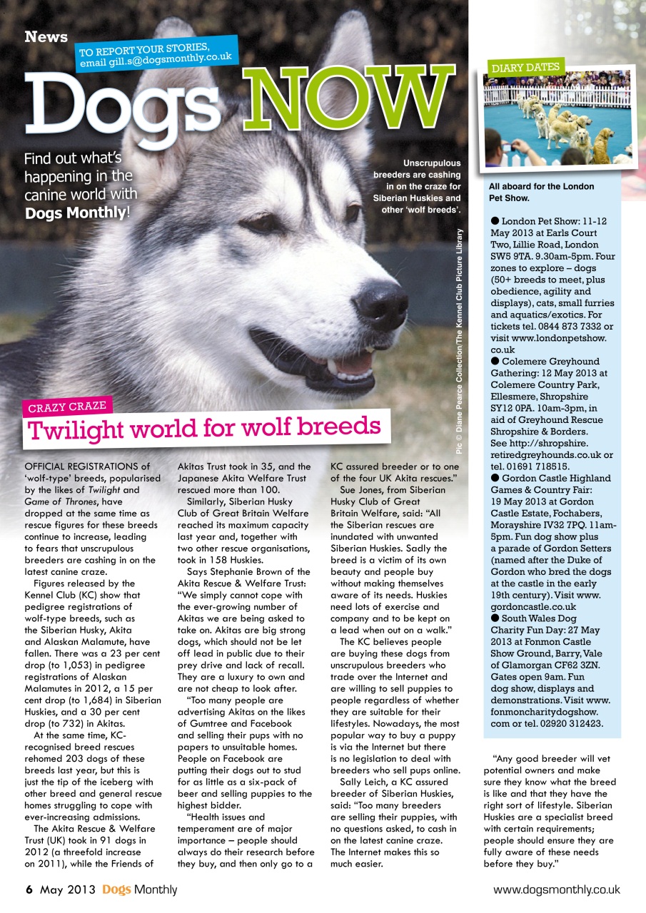 Dogs Monthly Preview Pages