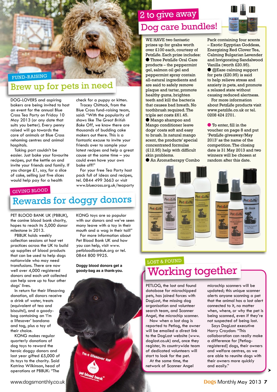 Dogs Monthly Preview Pages