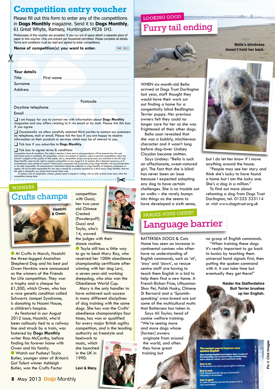 Dogs Monthly Preview Pages