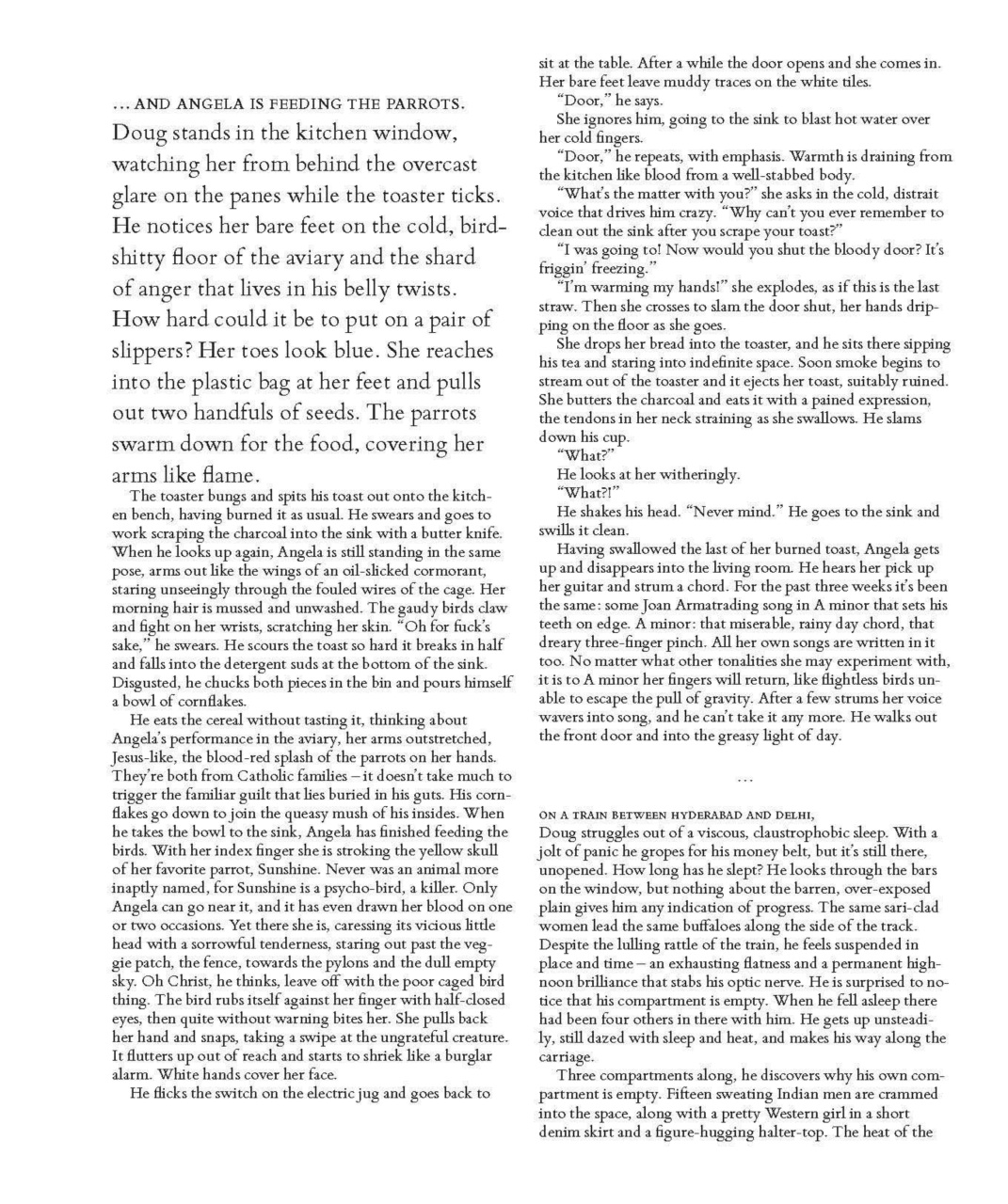 Adbusters Preview Pages