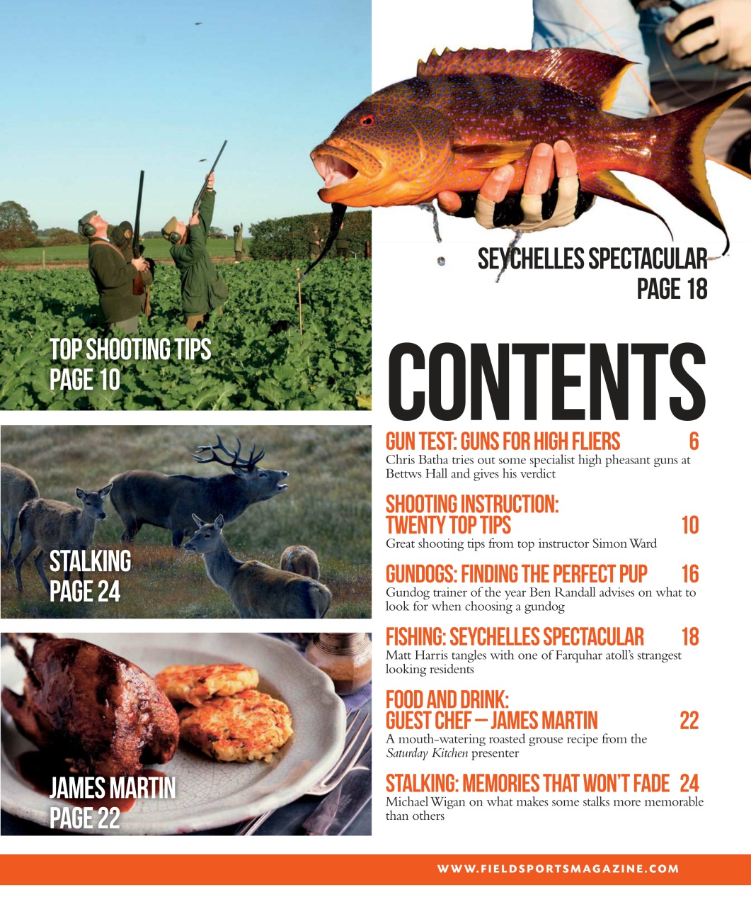 Fieldsports Journal Preview Pages