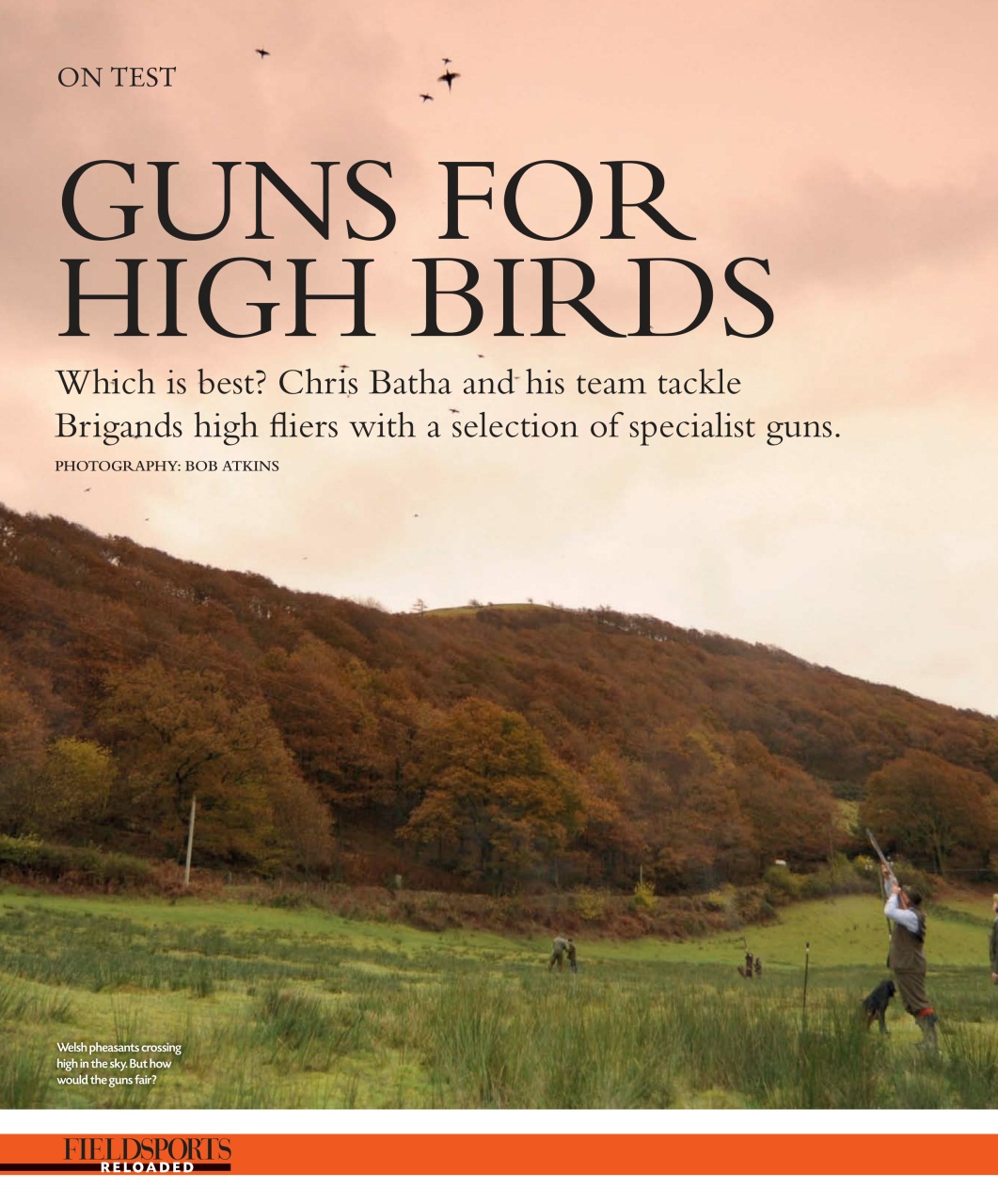 Fieldsports Journal Preview Pages