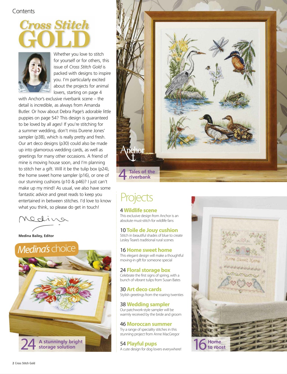 Cross Stitch Gold Preview Pages