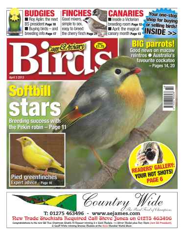 Cage & Aviary Birds issue Cage & Aviary 3 April 2013