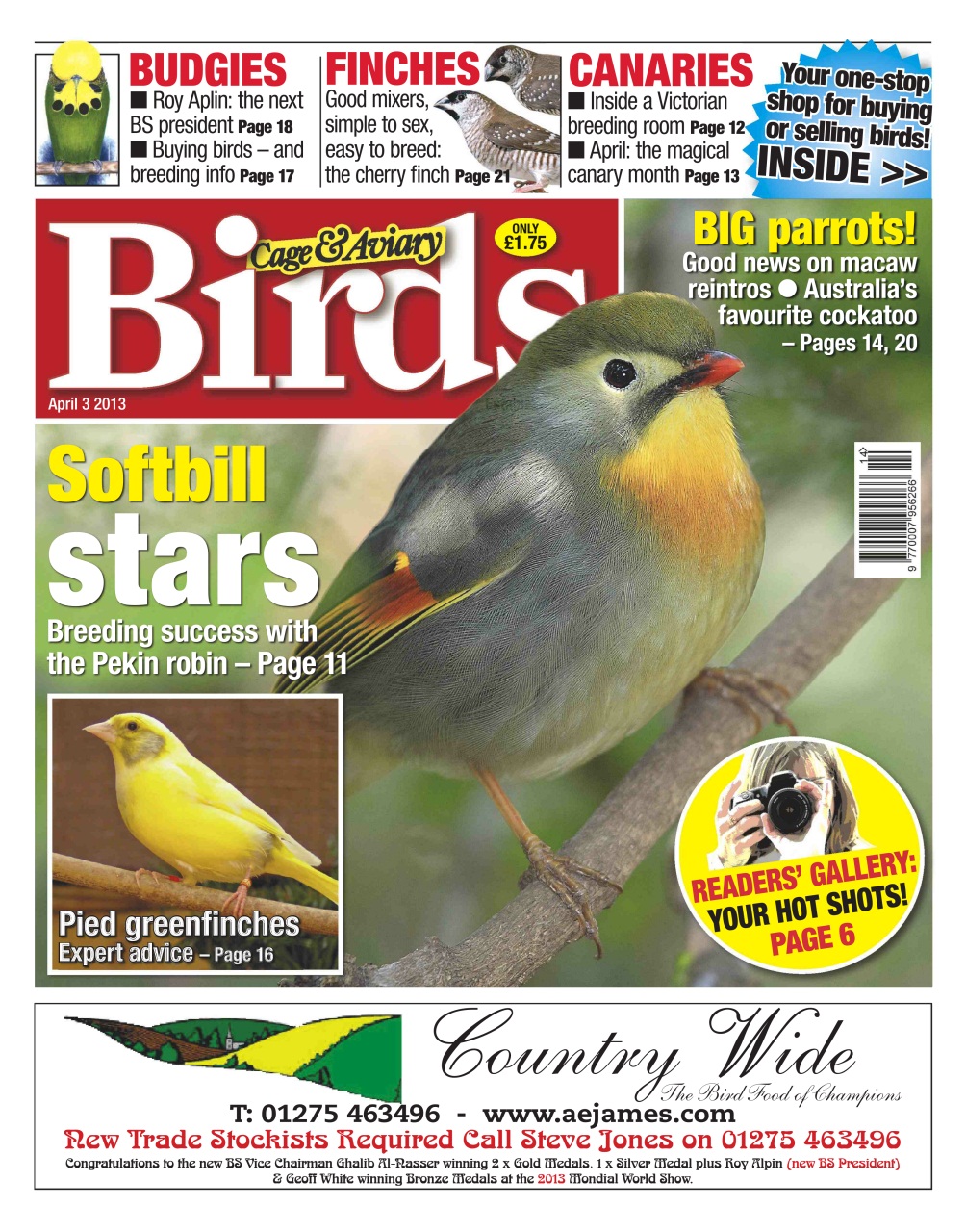 Cage & Aviary Birds Preview Pages