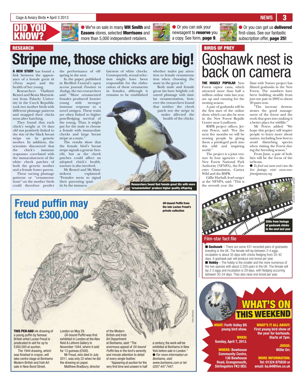 Cage & Aviary Birds Preview Pages