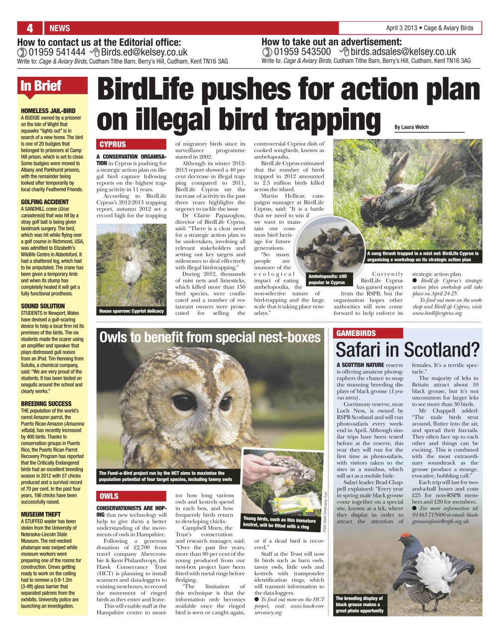 Cage & Aviary Birds Preview Pages