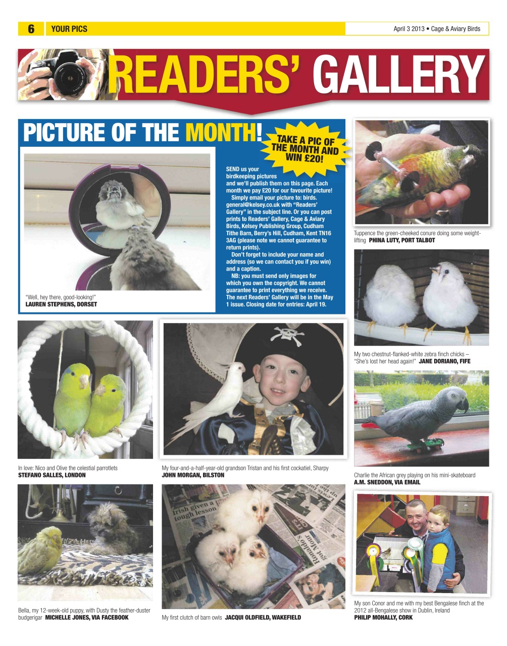 Cage & Aviary Birds Preview Pages