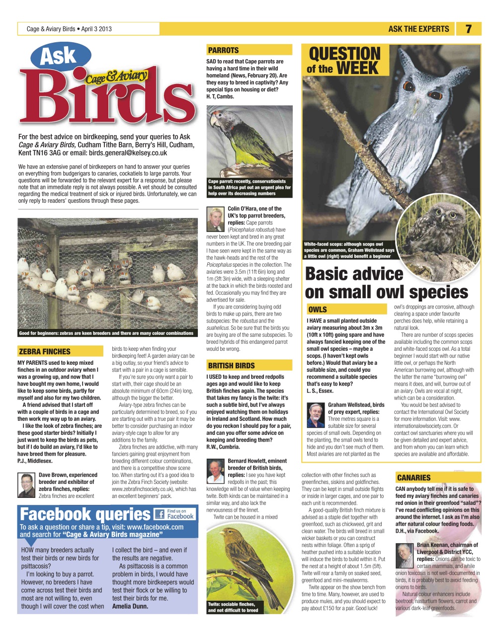 Cage & Aviary Birds Preview Pages