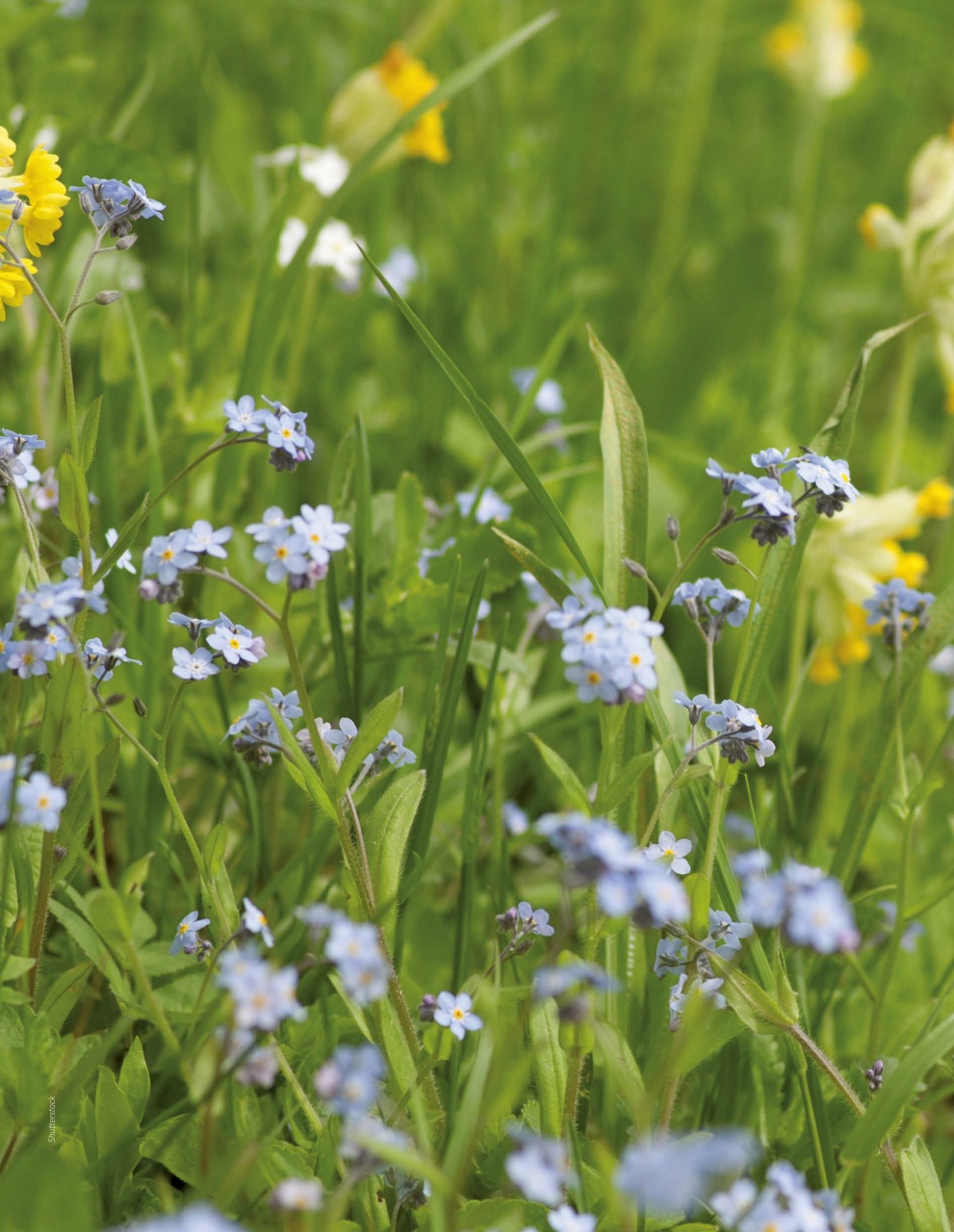 Handmade Living Preview Pages