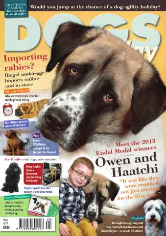 Dogs Today Magazine issue May 2013