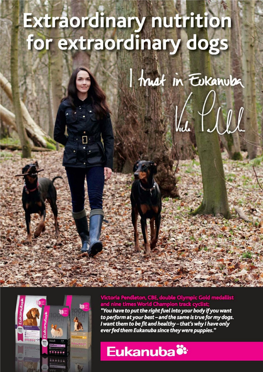 Dogs Today Magazine Preview Pages