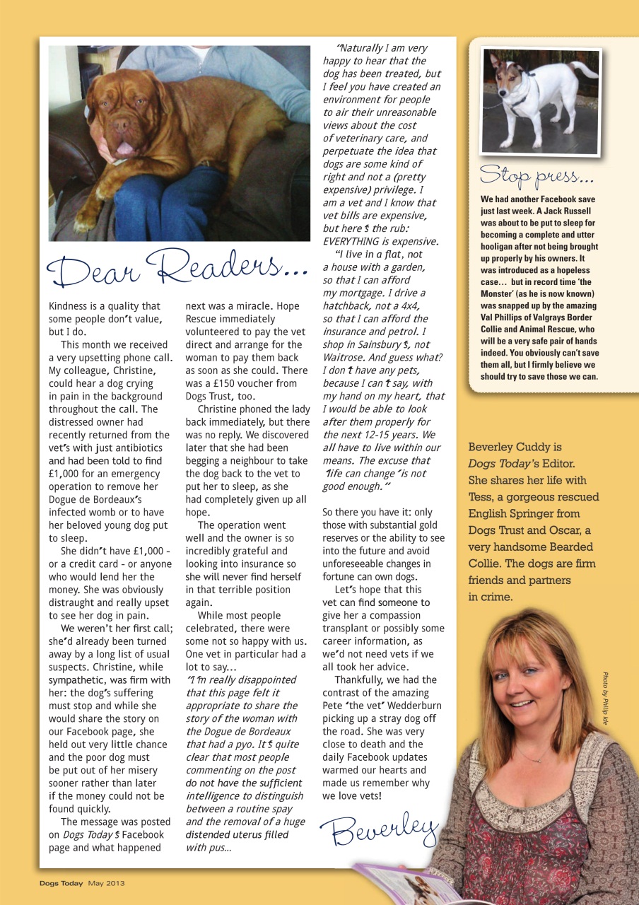 Dogs Today Magazine Preview Pages