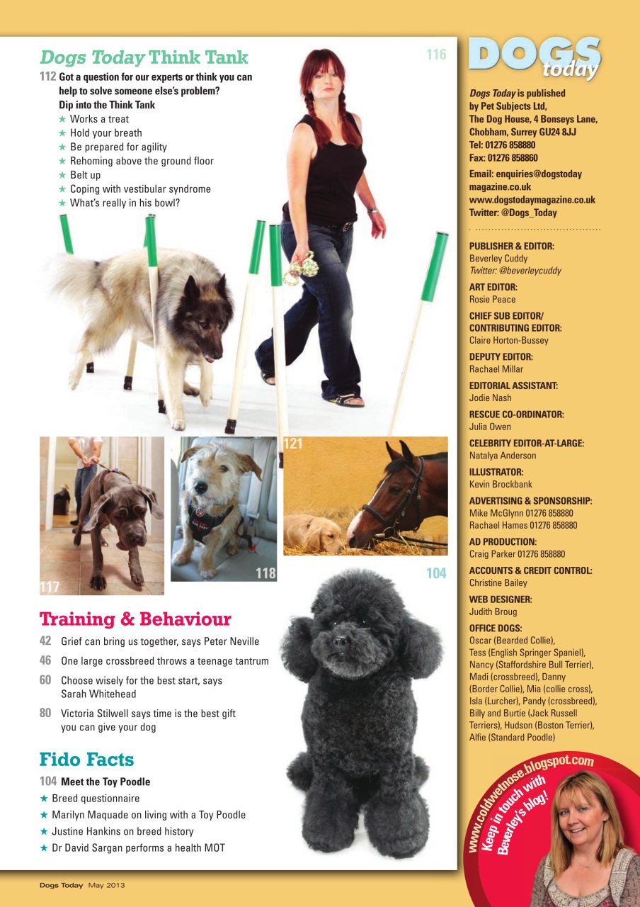 Dogs Today Magazine Preview Pages