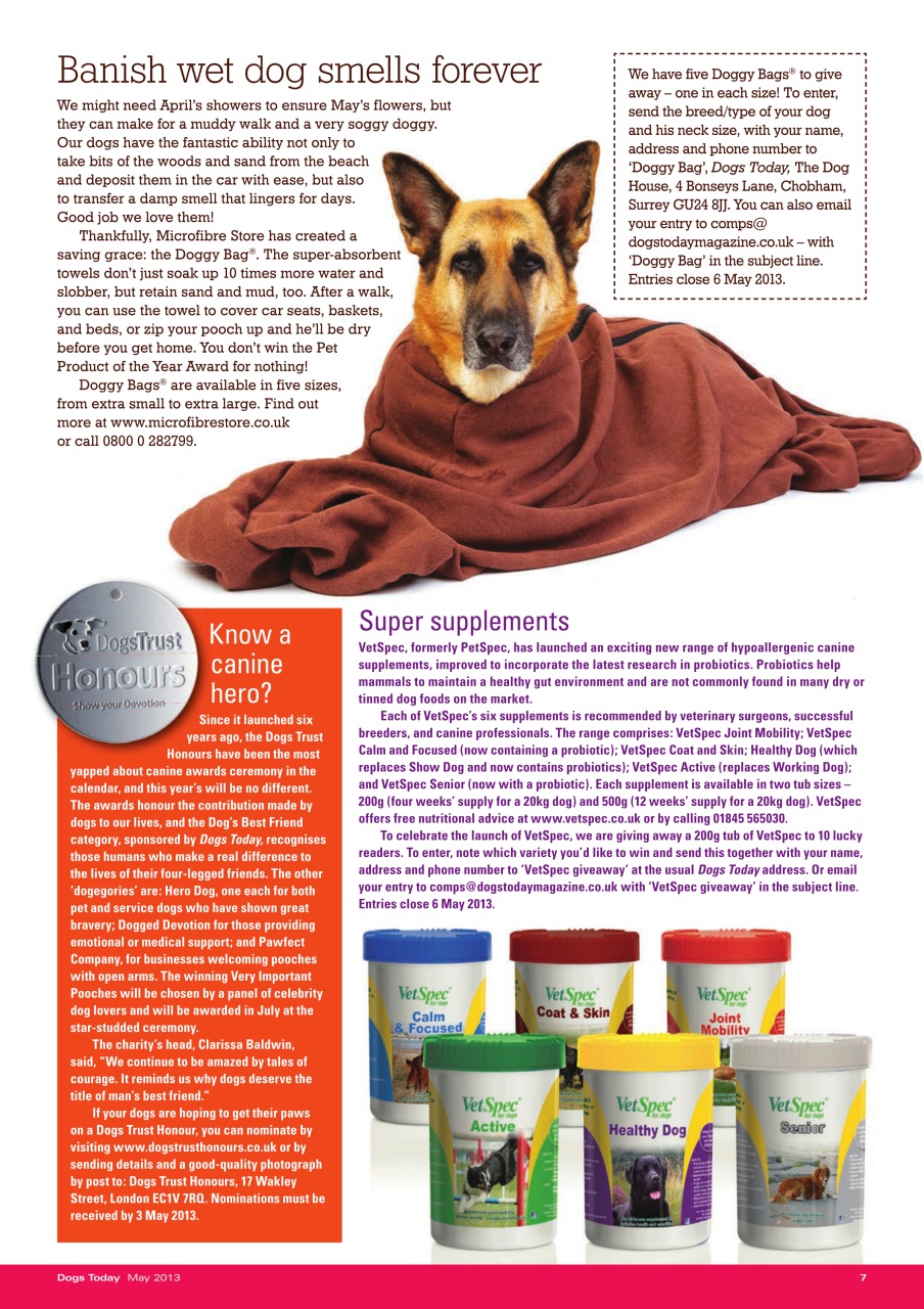 Dogs Today Magazine Preview Pages