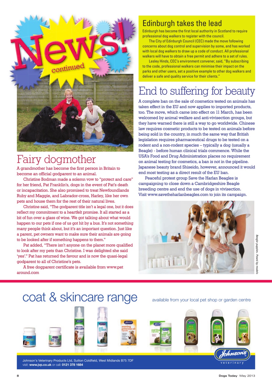 Dogs Today Magazine Preview Pages