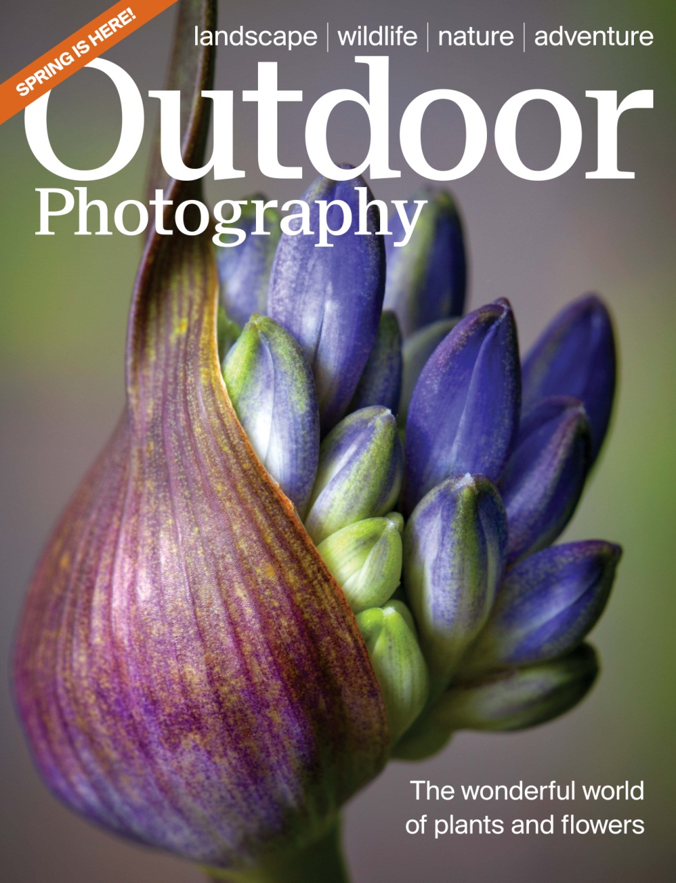 Outdoor Photography Preview Pages
