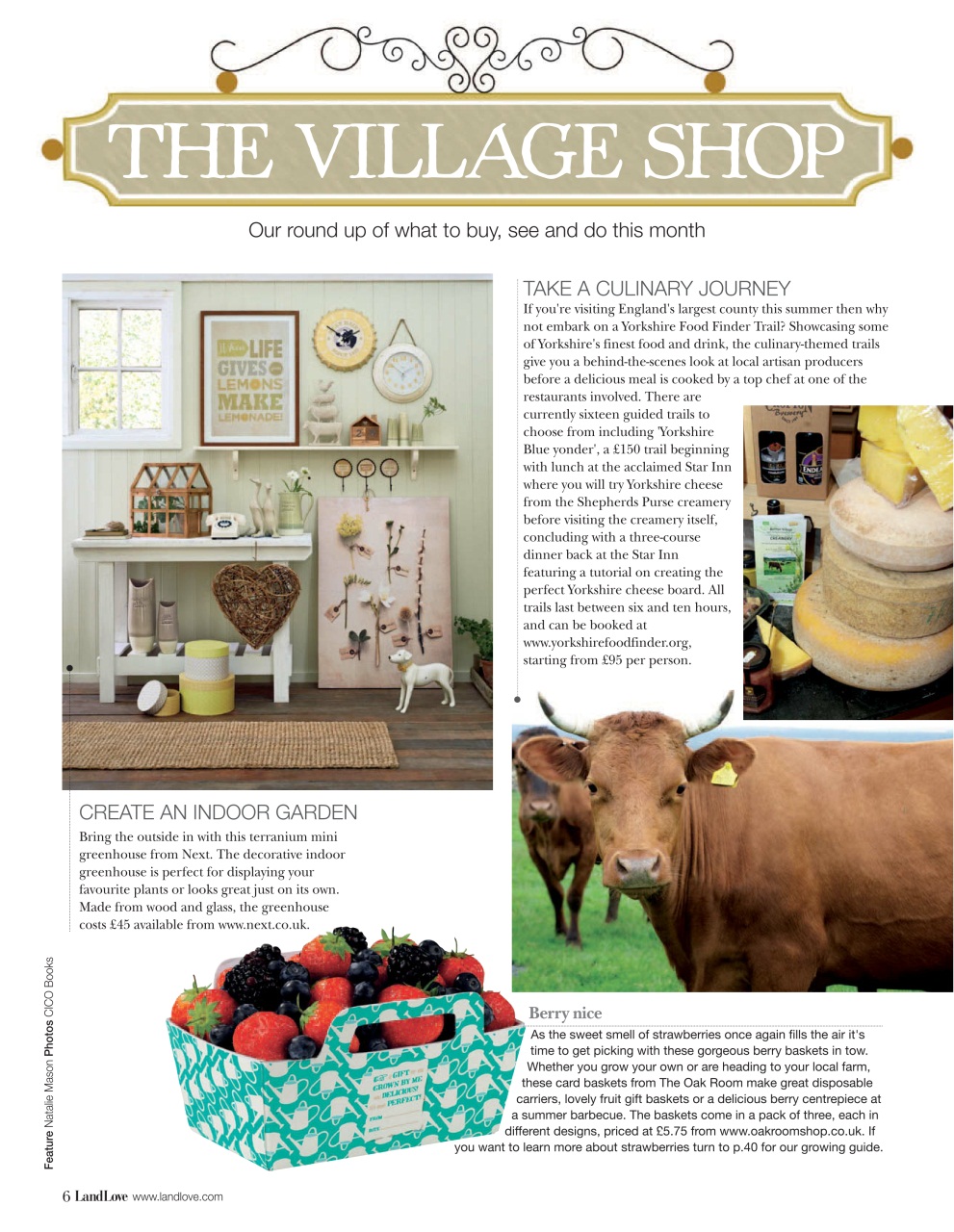LandLove Magazine Preview Pages