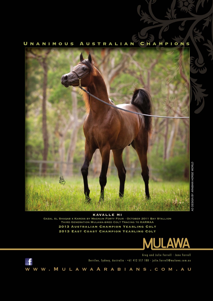 Australian Arabian Horse News Preview Pages