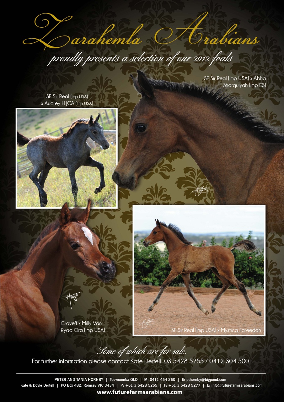 Australian Arabian Horse News Preview Pages