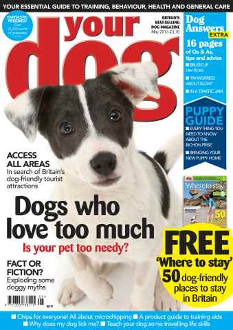 Your Dog issue Your Dog Magazine May 2013
