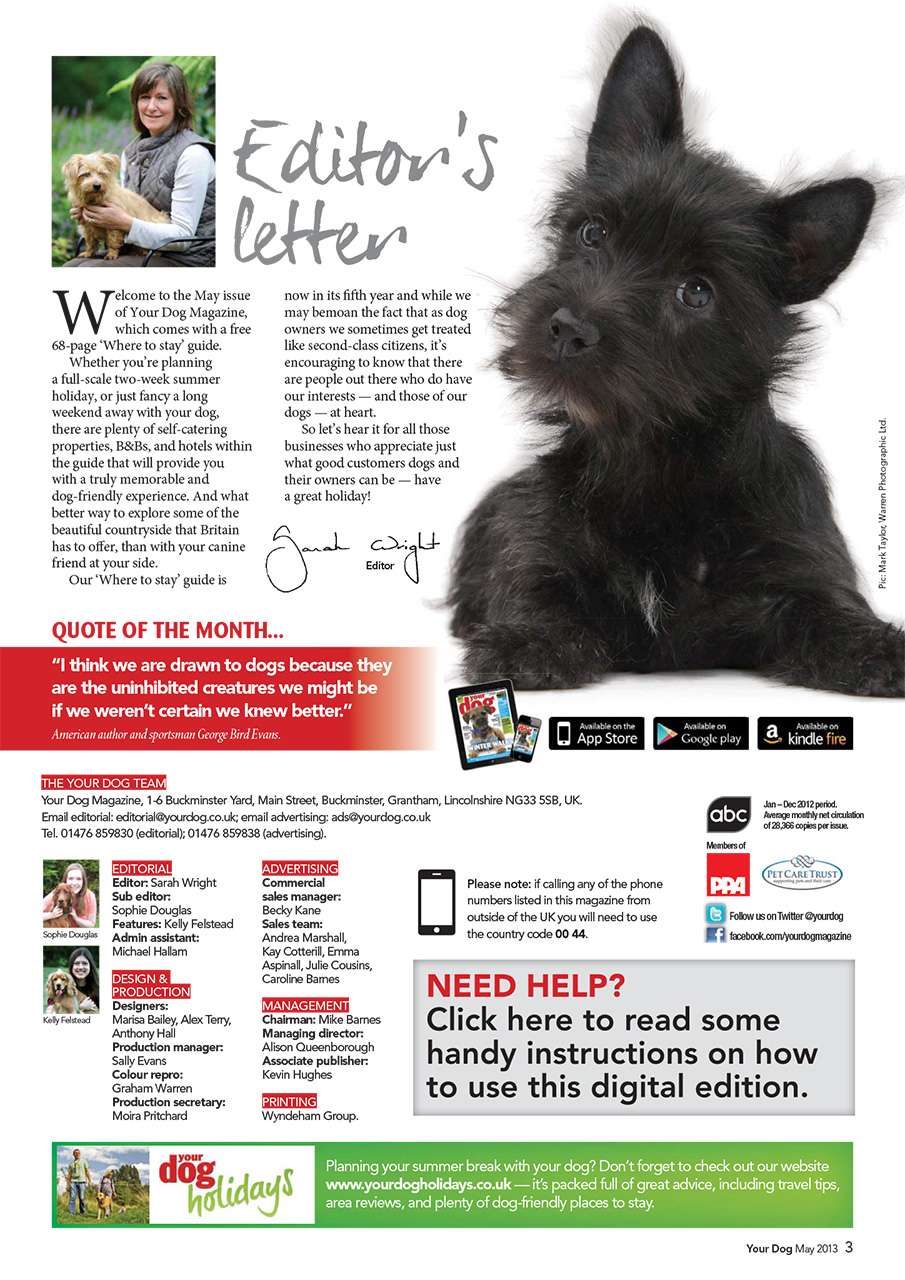 Your Dog Preview Pages