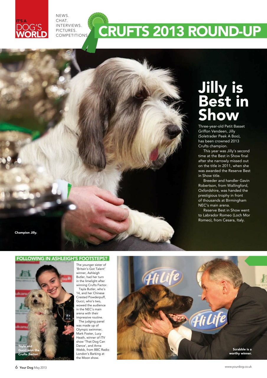 Your Dog Preview Pages