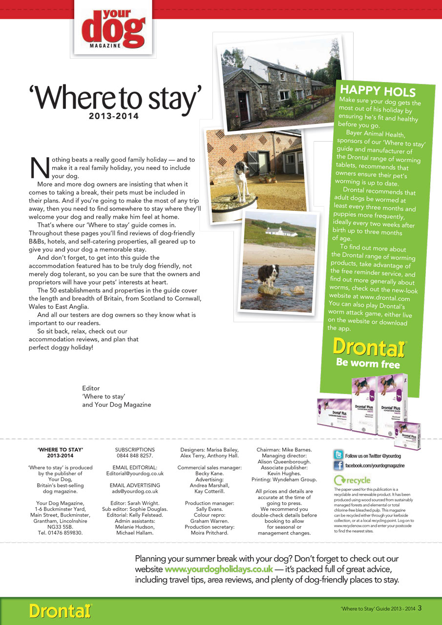 Your Dog Preview Pages