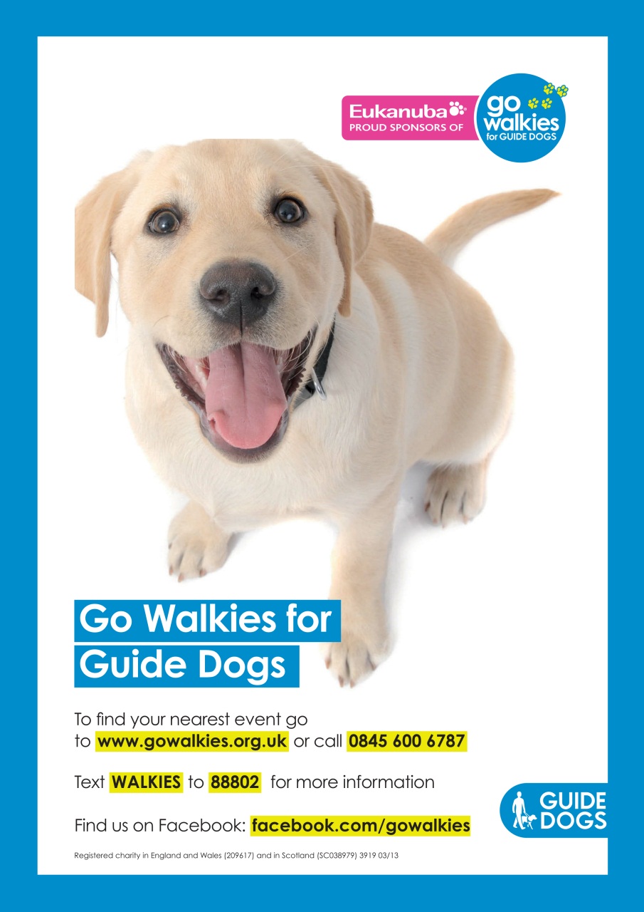 Your Dog Preview Pages