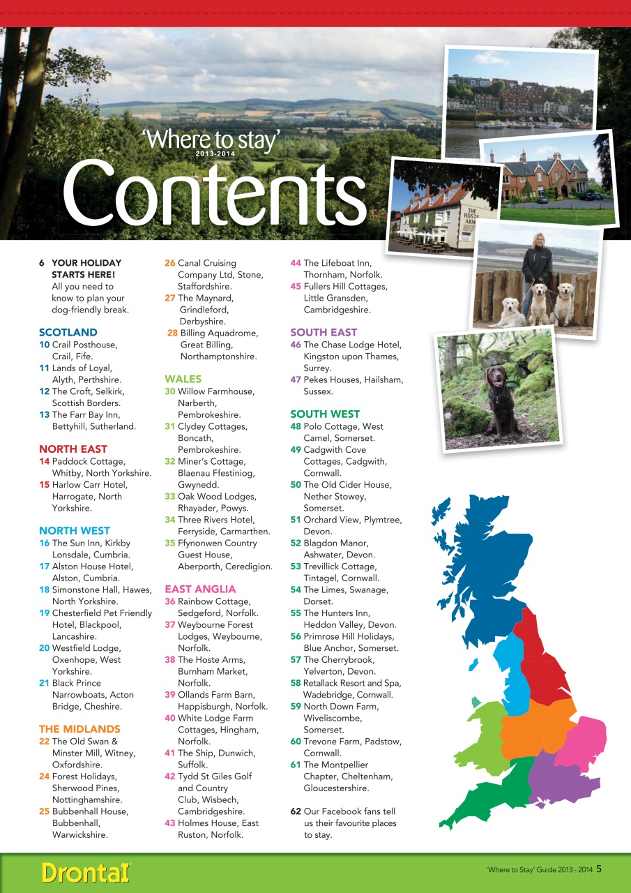 Your Dog Preview Pages