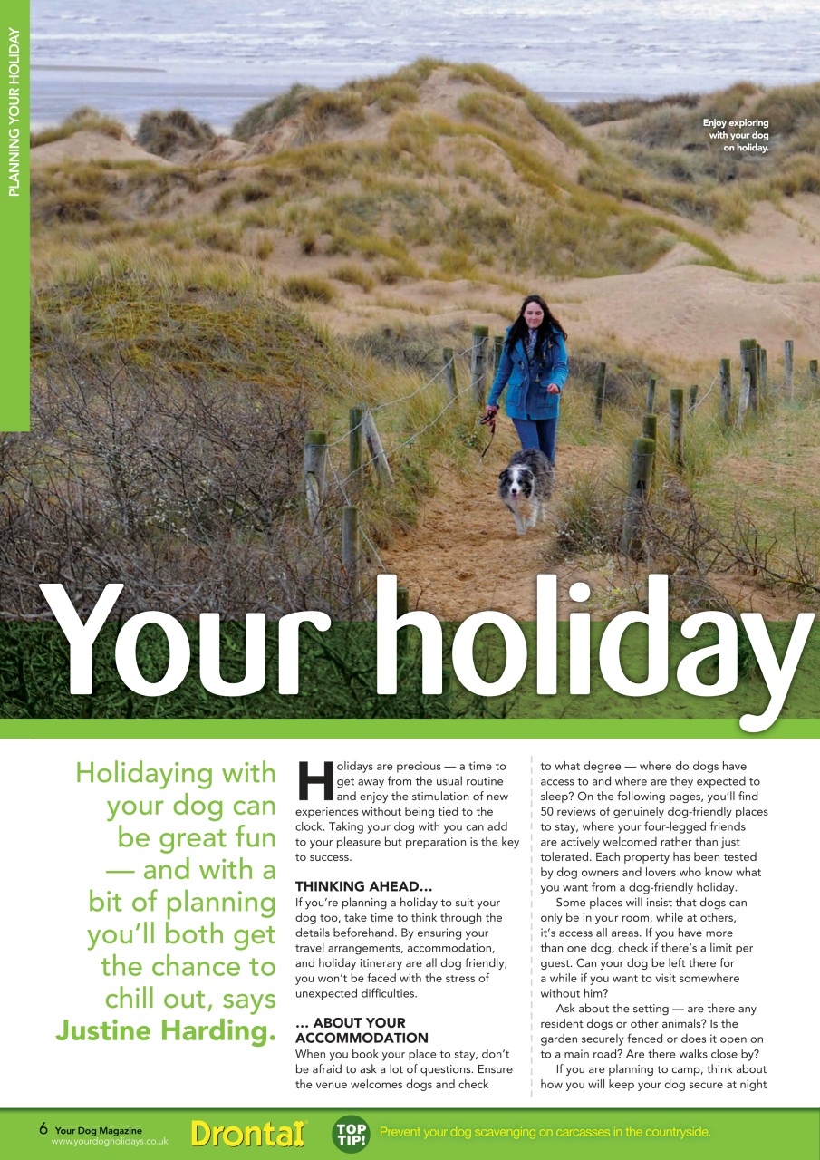 Your Dog Preview Pages