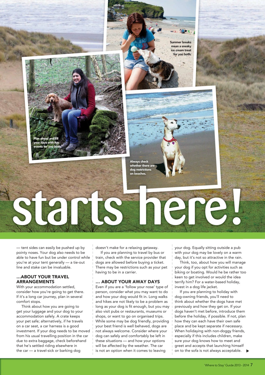 Your Dog Preview Pages