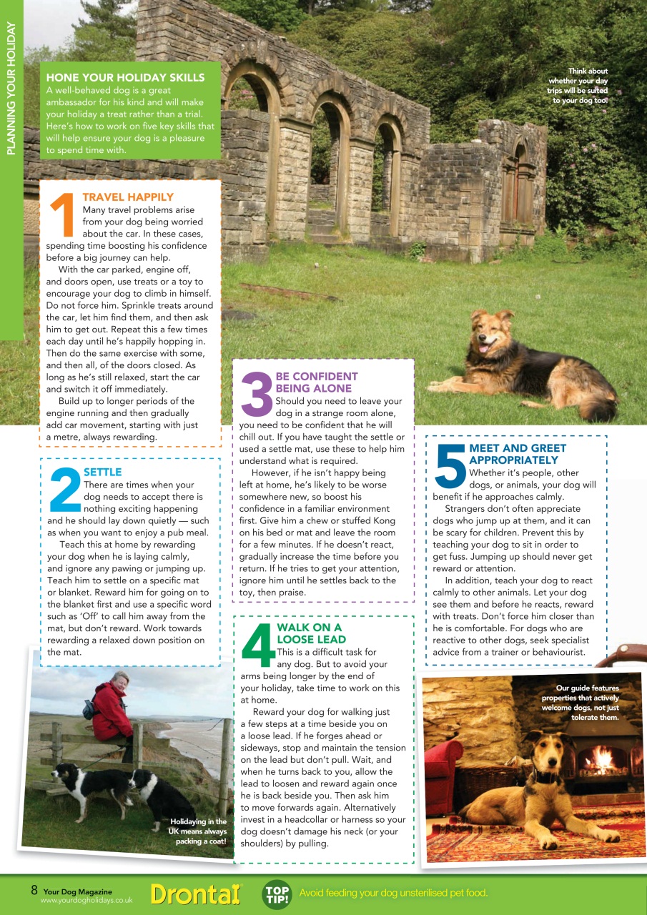 Your Dog Preview Pages