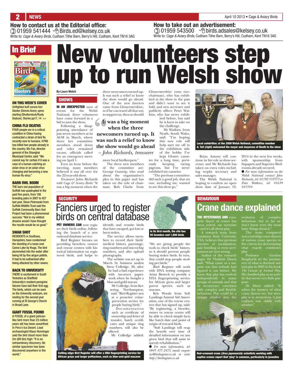 Cage & Aviary Birds Preview Pages