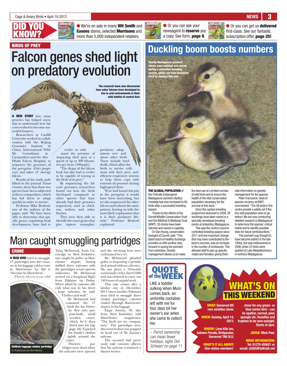 Cage & Aviary Birds Preview Pages