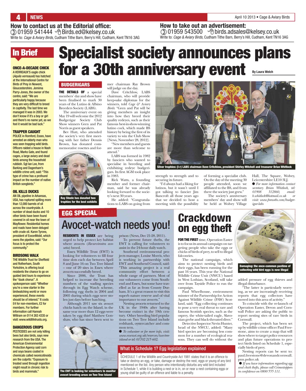 Cage & Aviary Birds Preview Pages