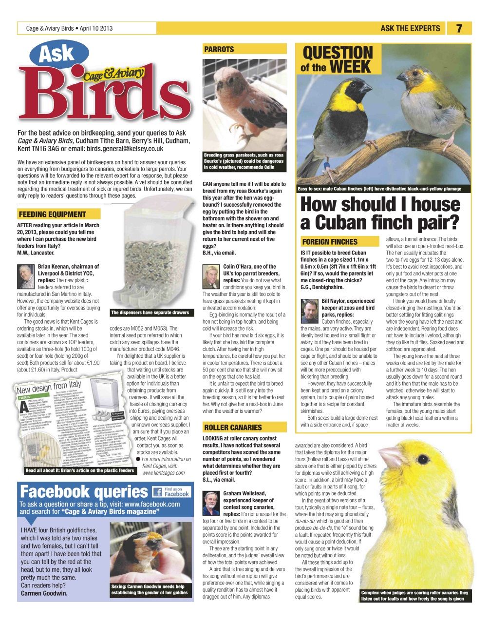 Cage & Aviary Birds Preview Pages