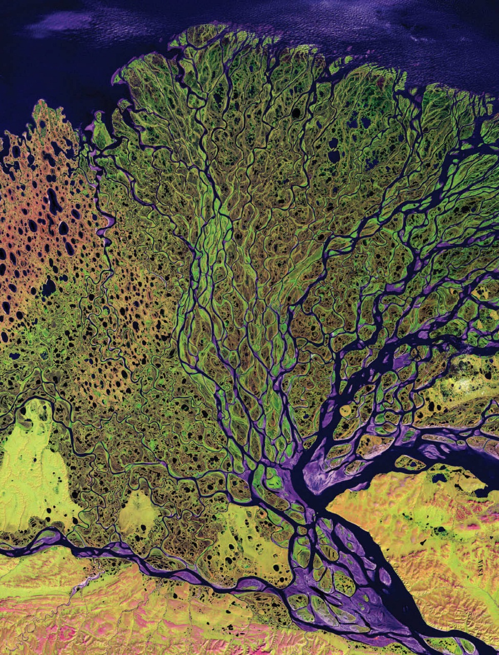 Adbusters Preview Pages