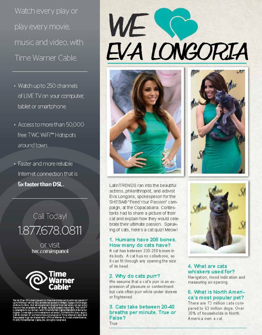 Latin Trends Preview Pages