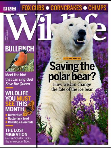 BBC Wildlife Magazine issue 