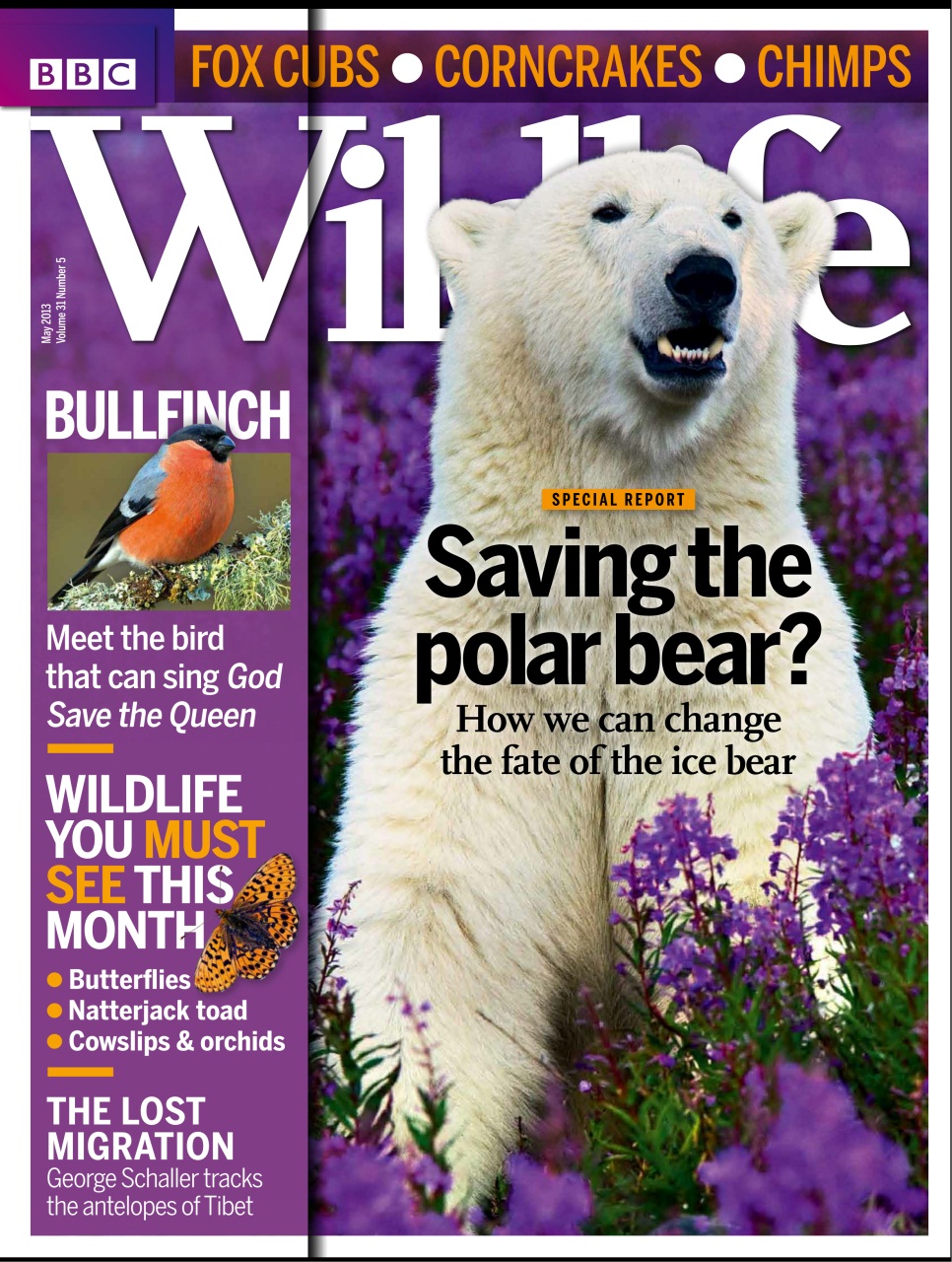 BBC Wildlife Magazine Preview Pages