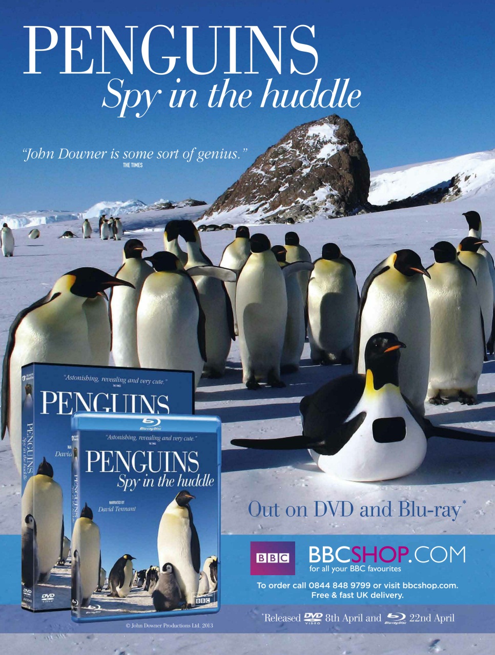 BBC Wildlife Magazine Preview Pages