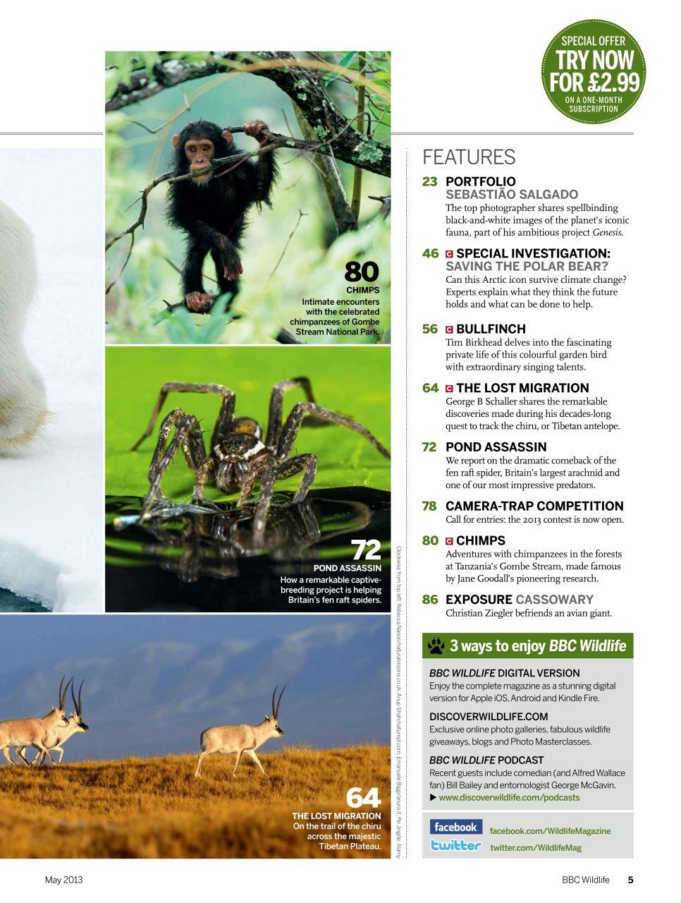 BBC Wildlife Magazine Preview Pages