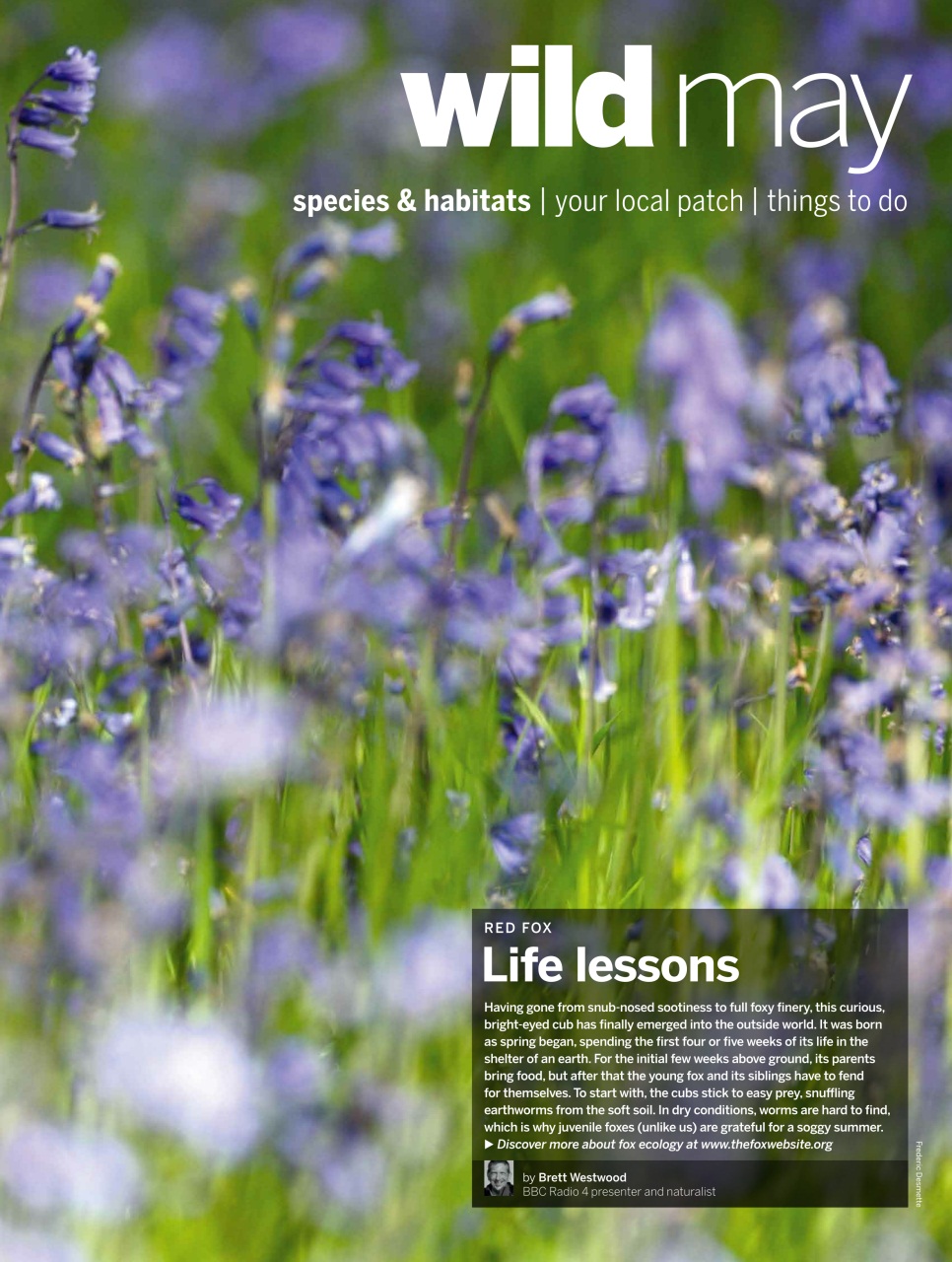 BBC Wildlife Magazine Preview Pages