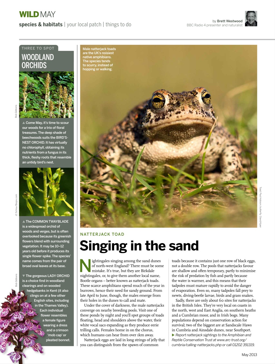 BBC Wildlife Magazine Preview Pages